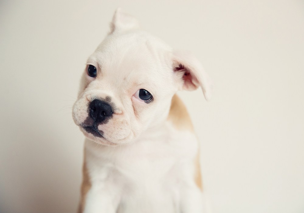 O04A8214 kristie_lee_photographer