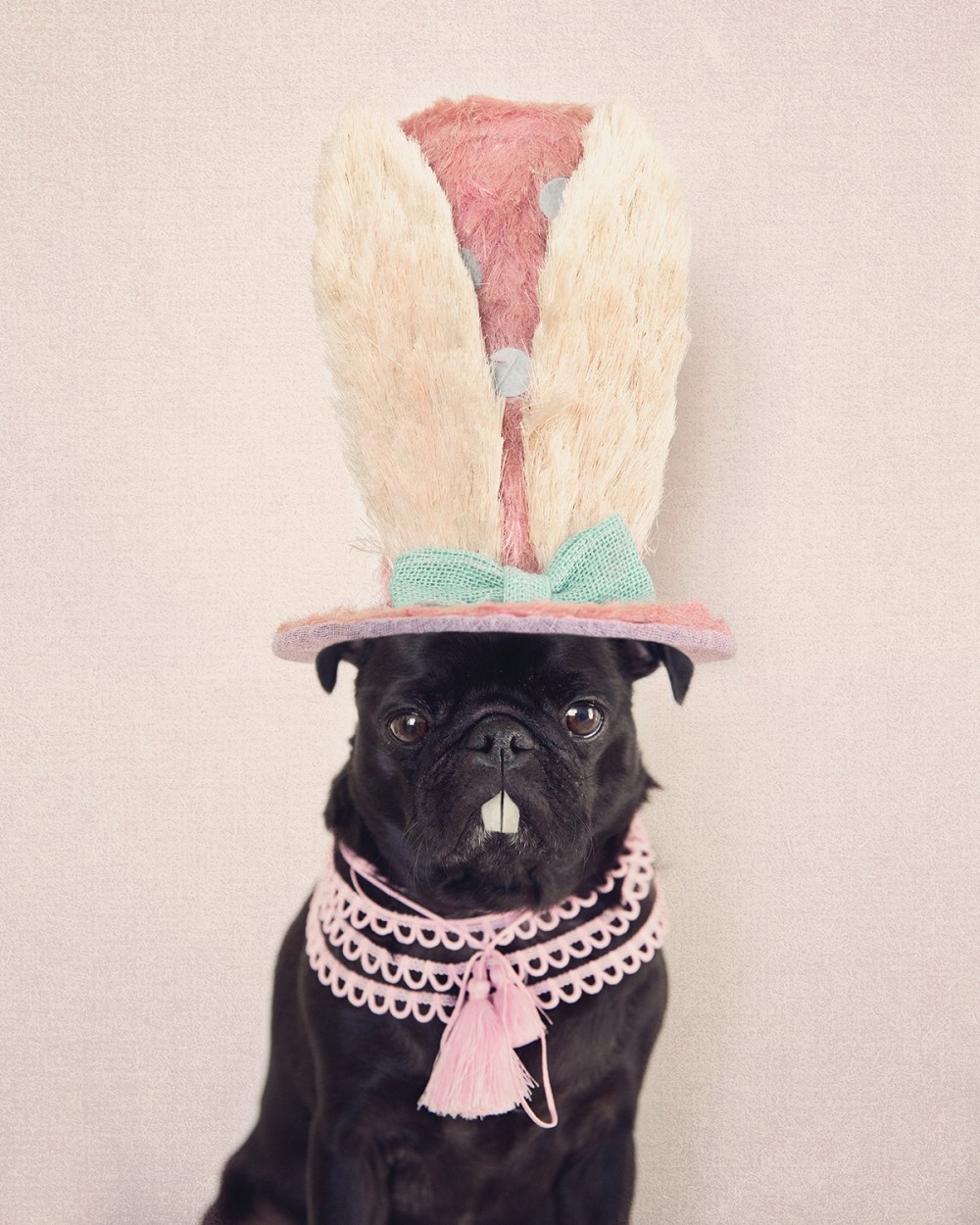 cookie_bryce Easter kristie_lee_photographer