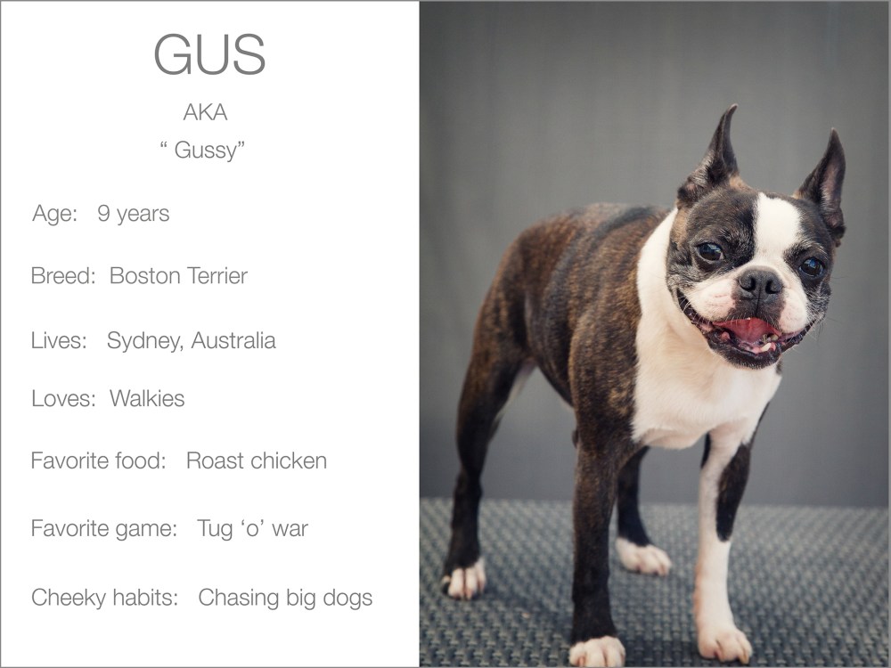 Gussy profile kristie-lee-photographer