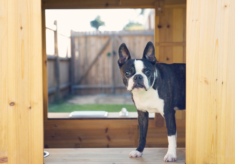 Lee-0106 kristie-lee-photographer