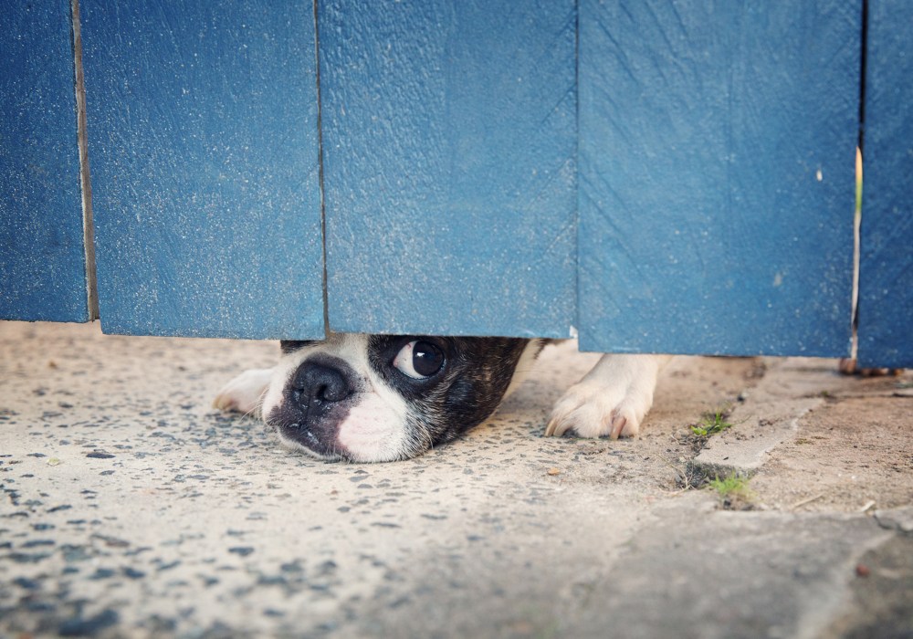 Lee-0189 kristie-lee-photographer