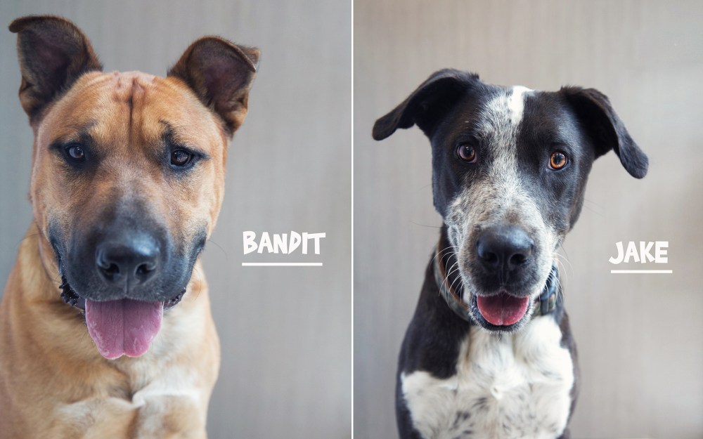 kristie_lee_photographer socares 1