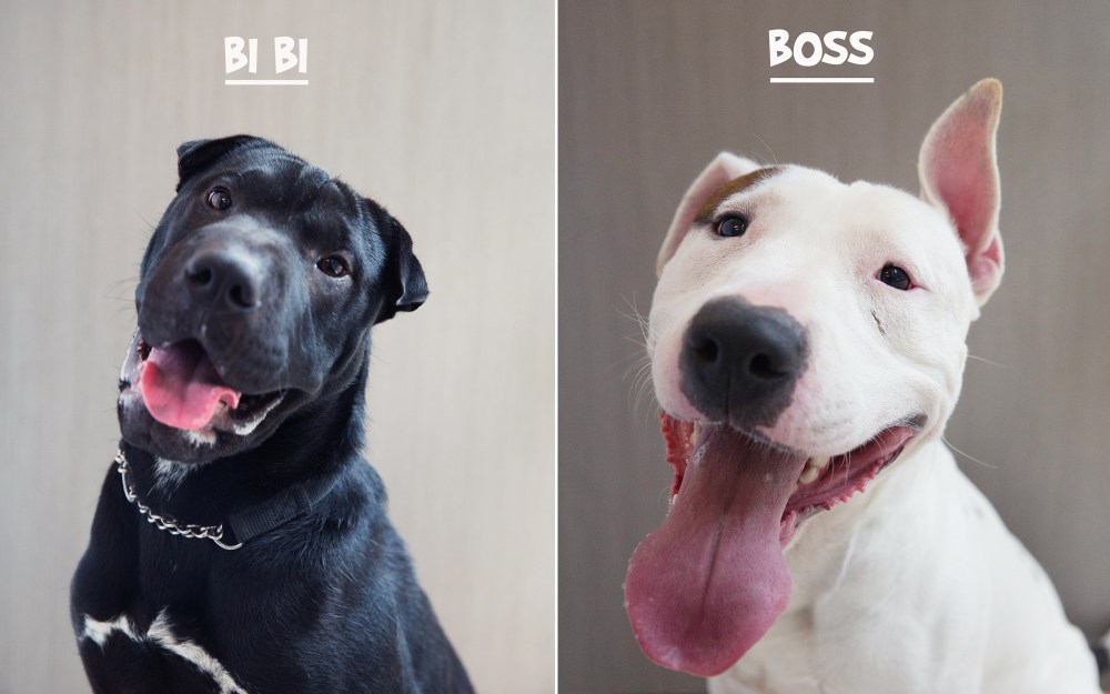 kristie_lee_photographer socares 2