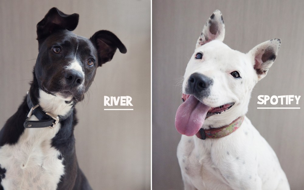 kristie_lee_photographer socares 3