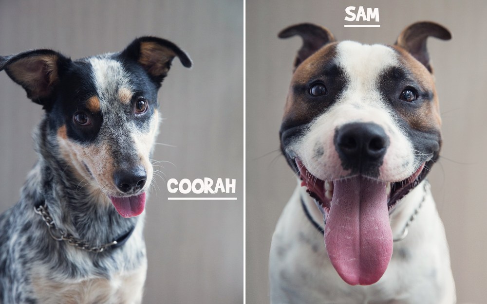 kristie_lee_photographer socares 4