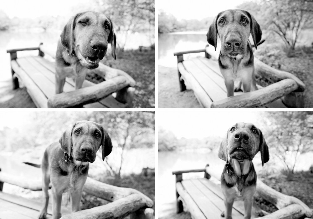 Mav 4 up kristie_lee_photographer