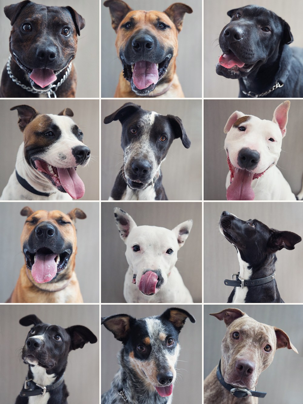 Socares faces 12 up kristie_lee_photographer