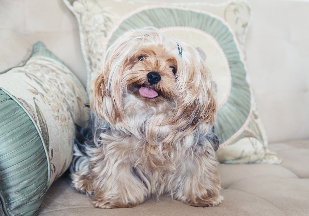 O04A0872 kristie_lee_photographer