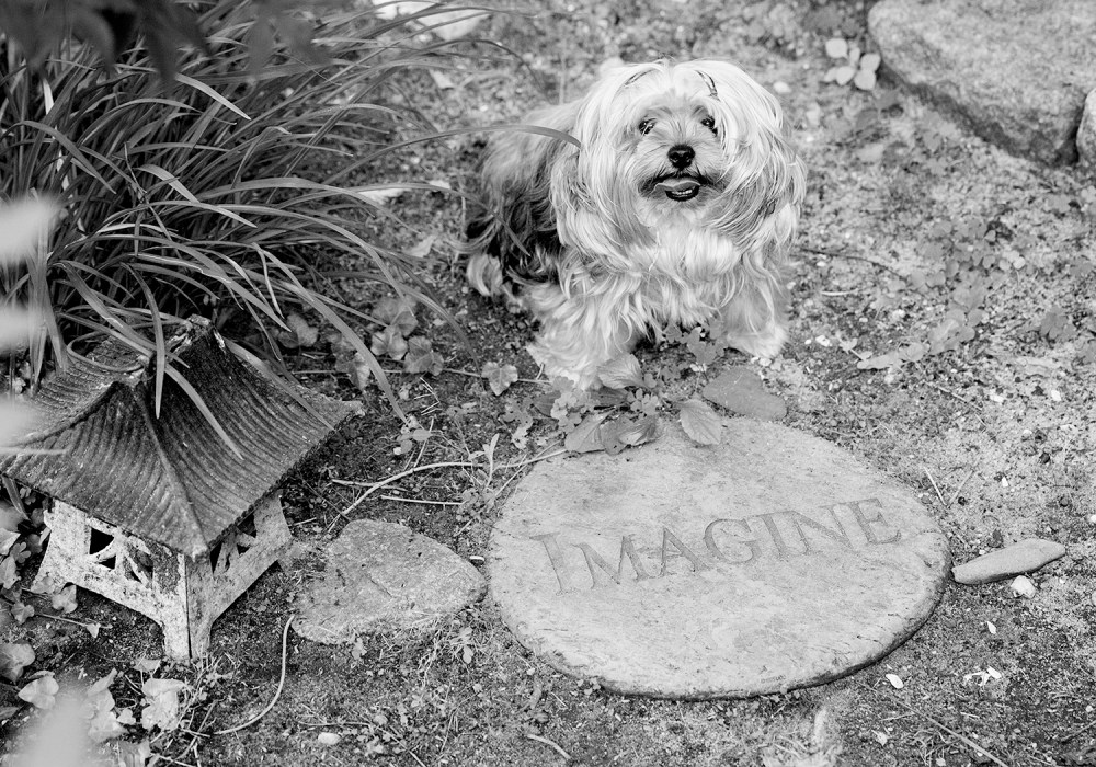 O04A0929 kristie_lee_photographer B&amp;W