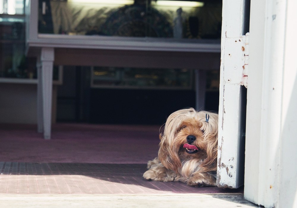 O04A0944 kristie_lee_photographer