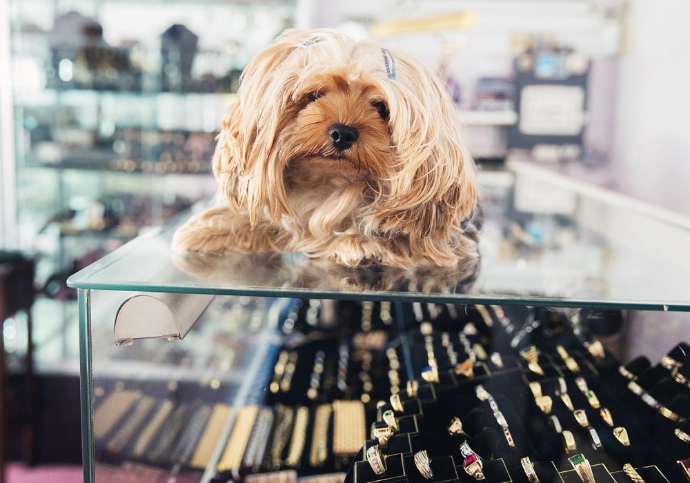 O04A0980 kristie_lee_photographer