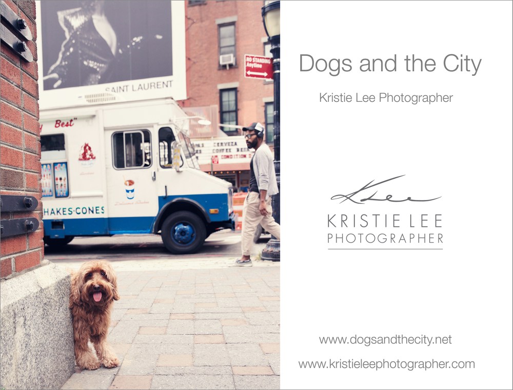 dogs_and_the_city kristie_lee_photographer