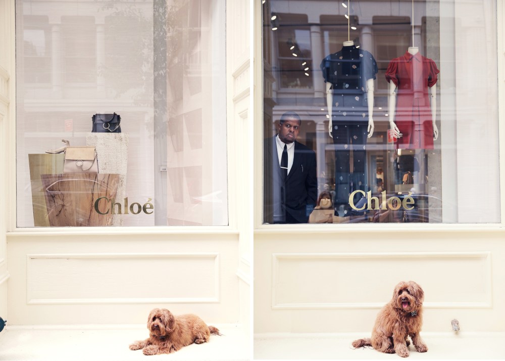 kristie_lee_photographer pippa 2