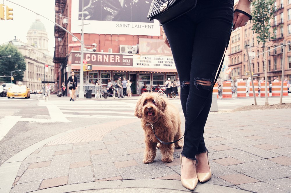 pip- 100-104 kristie_lee_photographer 5x3.3