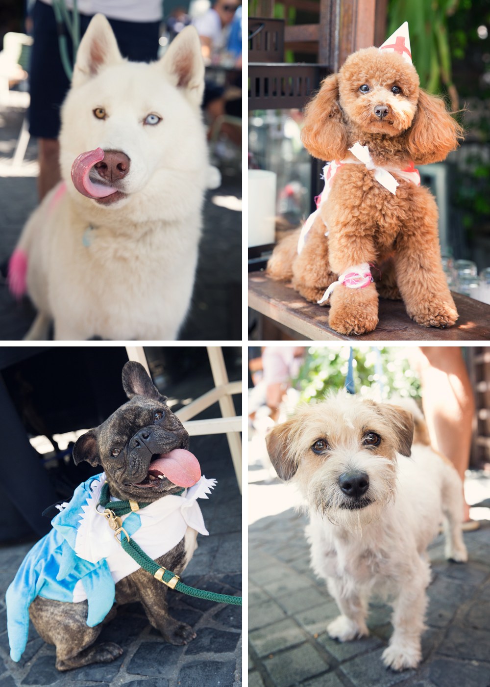 kristie_lee_photographer 5