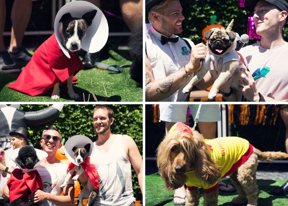 kristie_lee_photographer 6