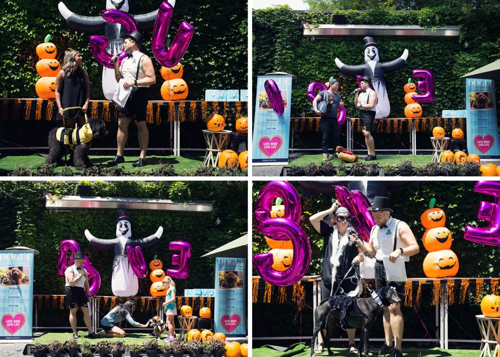 kristie_lee_photographer 7