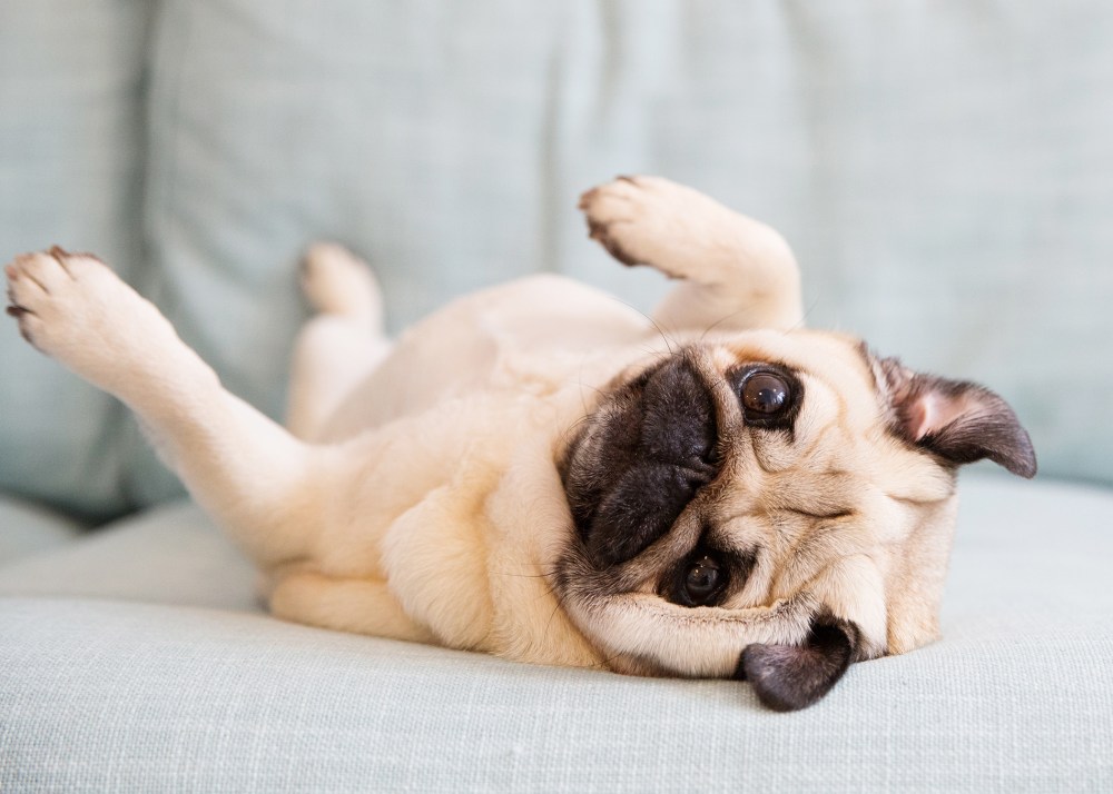 O04A8275 kristie_lee_photographer