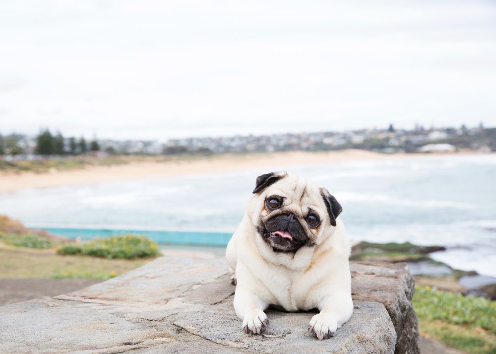 O04A8592 kristie_lee_photographer