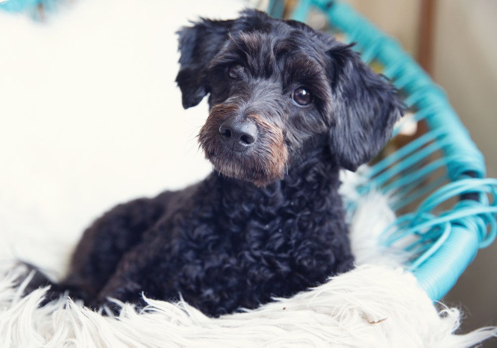 O04A0418 kristie_lee_photographer