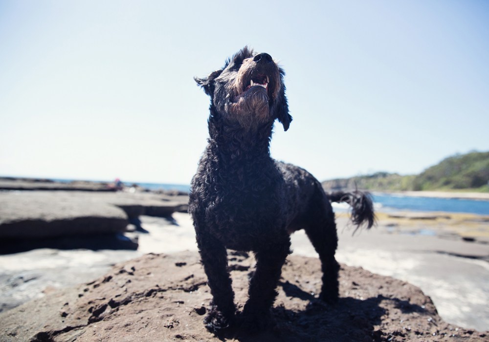 O04A0463 kristie_lee_photographer