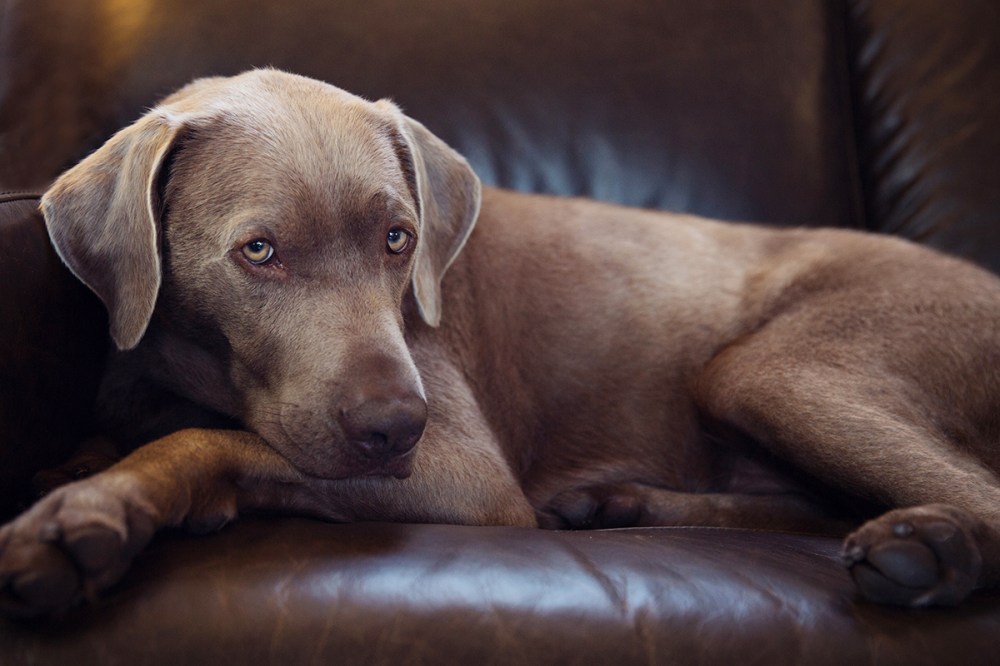 O04A9345 love kristie_lee_photographer copy