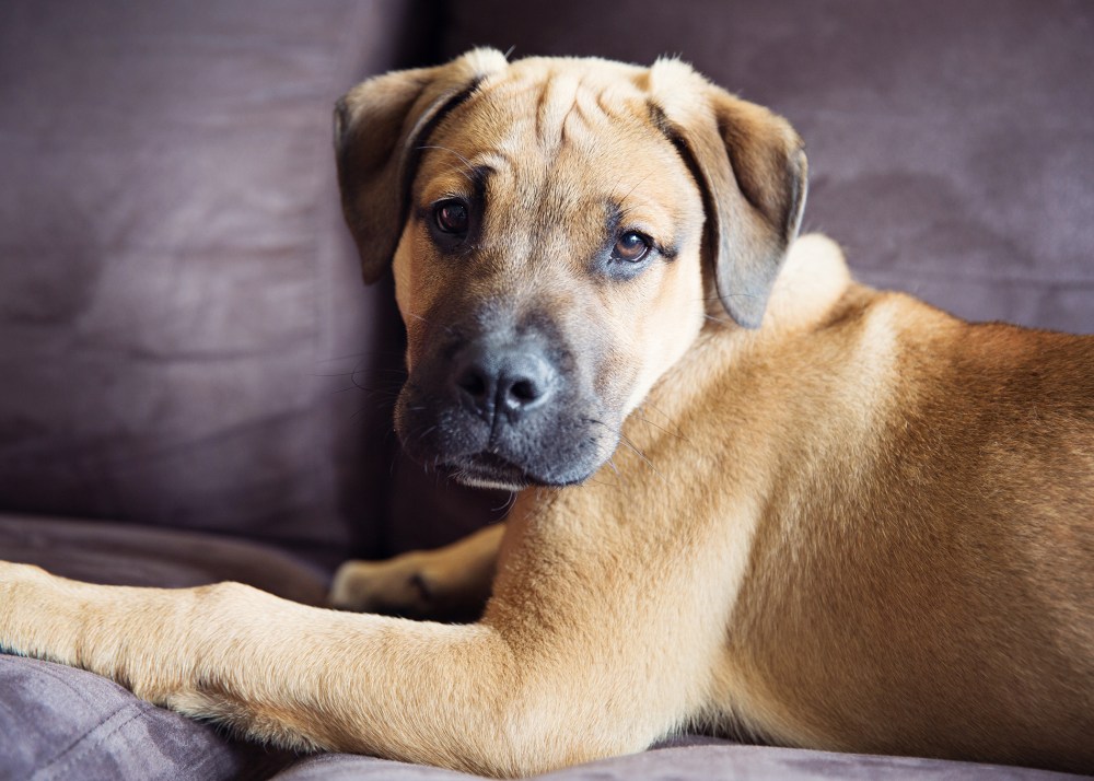 13 love kristie_lee_photographer.