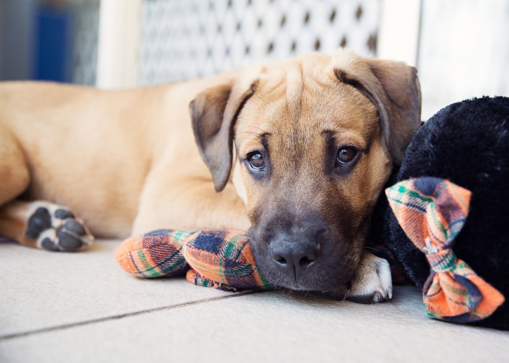 61 love kristie_lee_photographer.