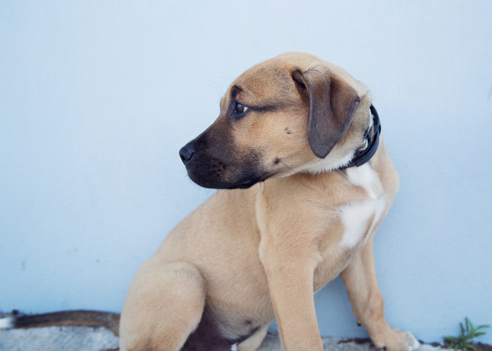 65 love kristie_lee_photographer.