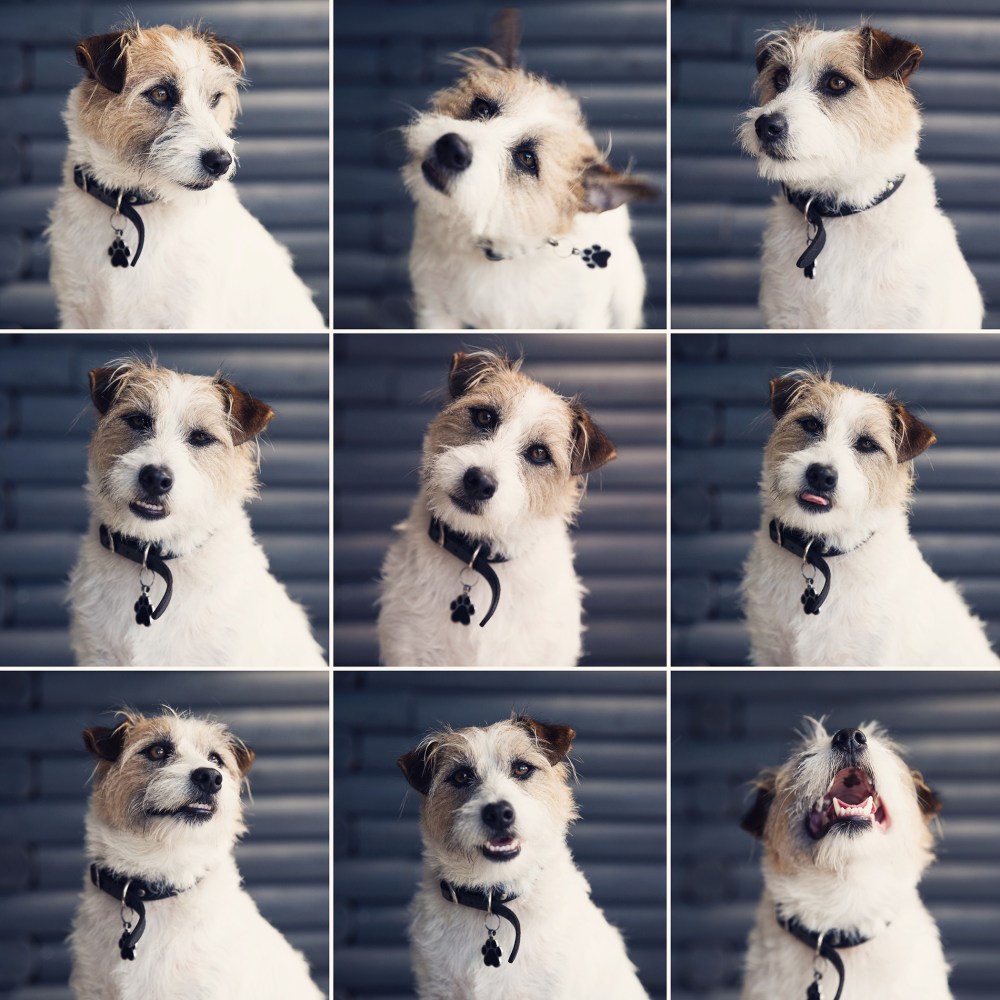 1. Banjo 9 up kristie_lee_photographer