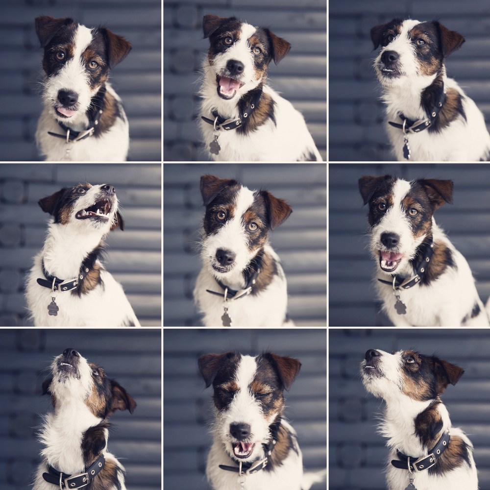 2. Billy 9 up kristie_lee_photographer royal silver