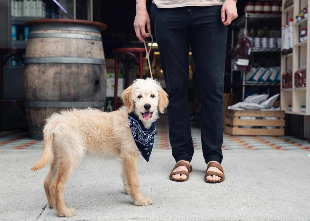 O04A5866 Odin kristie_lee_photographer