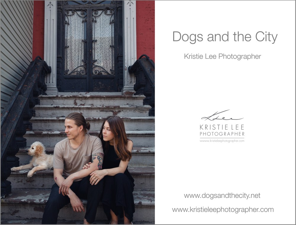Odin dogs_and_the_city kristie_lee_photographer