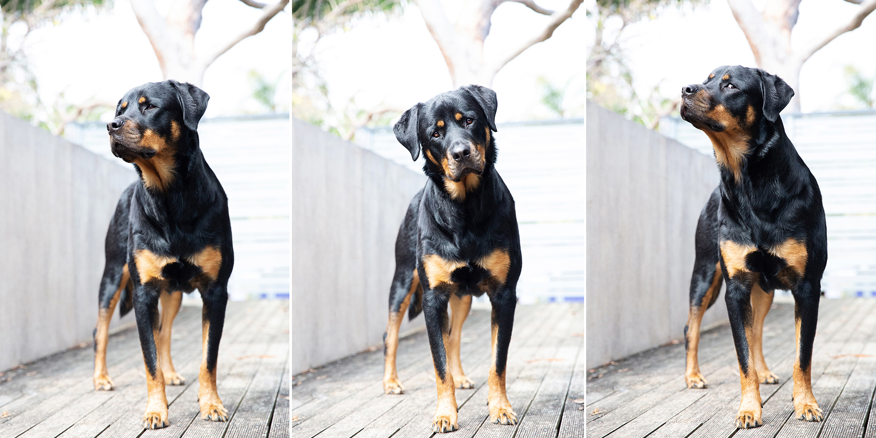 Ruby 3 up kristie_lee_photographer