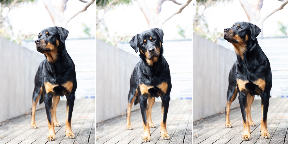 Ruby 3 up kristie_lee_photographer