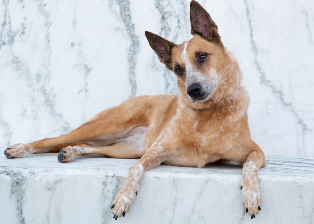 O04A1823 Yolanda 2 2